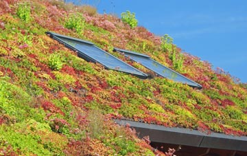 Chale living roof systems